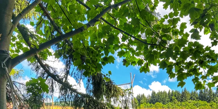 Lenošení v síti jako nejlepší relax 