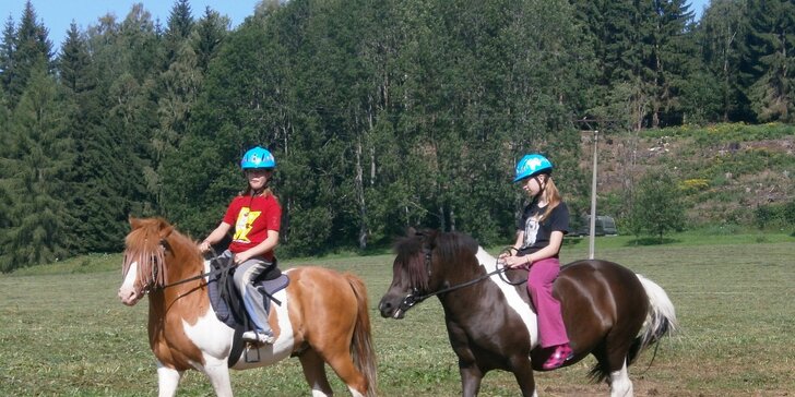 7denní letní tábor s koňmi nebo mixem zábavy