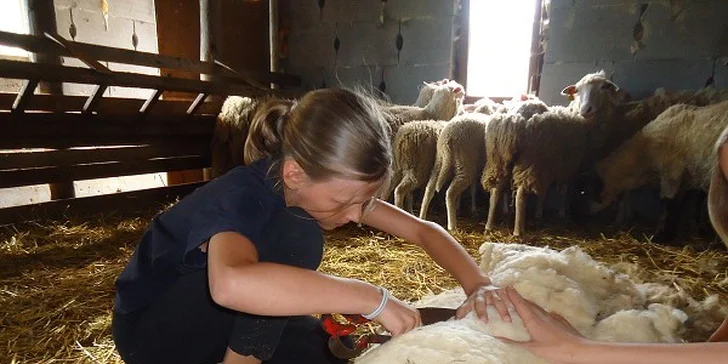Letní tábor na farmě s konmi a zvířaty