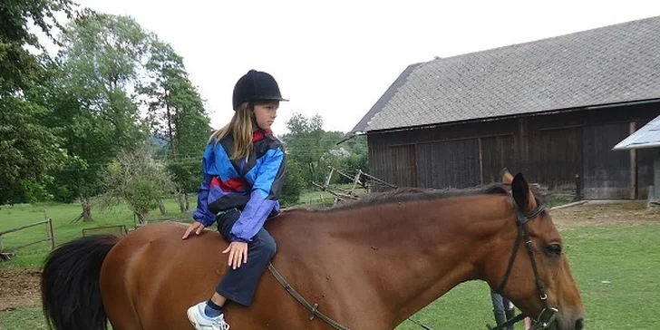 Letní tábor na farmě s konmi a zvířaty