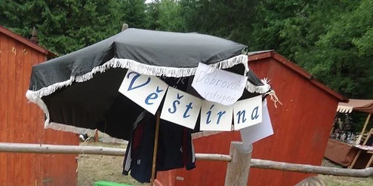 Letní tábor na farmě s konmi a zvířaty
