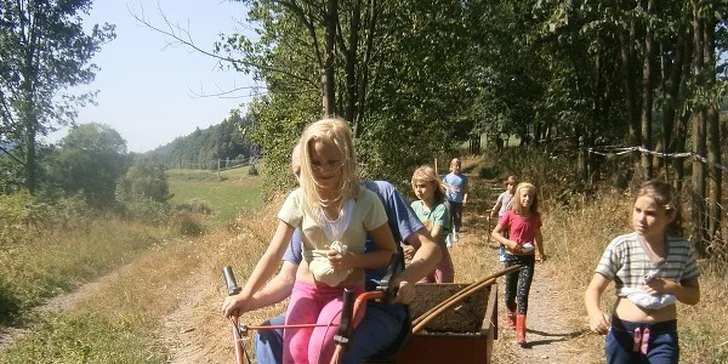 Letní tábor na farmě s konmi a zvířaty