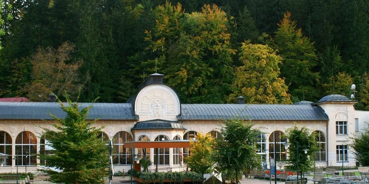 Léto či podzim v Janských Lázních u nové Stezky korunami stromů