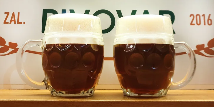 Prohlídka Heřmanického pivovaru s degustací mladých piv i jídlem pro 1 či 2 osoby