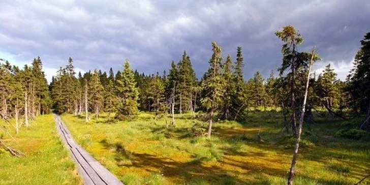 Až 8 dní v Hotelu Sněžka ve Špindlerově Mlýně