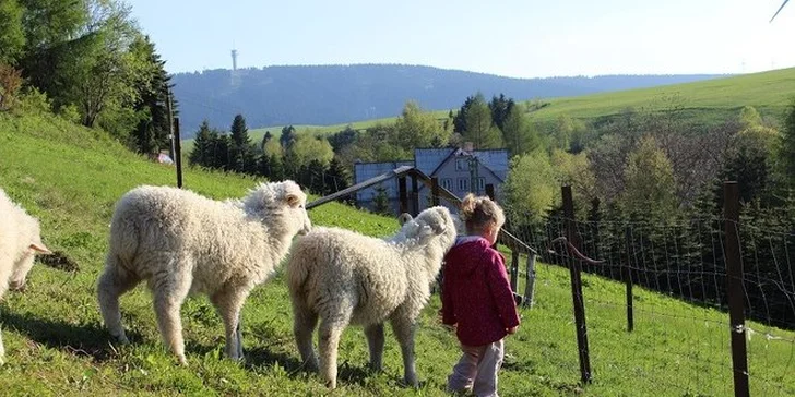 Rodinný pobyt v Krušných horách: 3 dny s polopenzí a balíčkem pohody