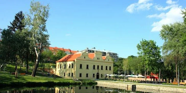 Luxusní letní menu s krevetami či steakem i lahví vína pro dva