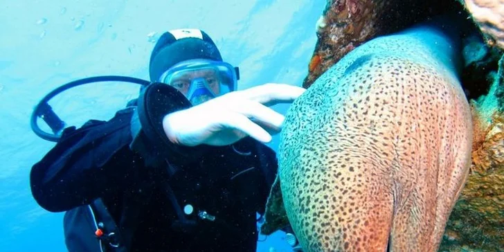 Zkušební potápění nebo kurz Open Water Diver