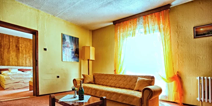 Pobyt pro 2 dospělé a až 2 děti v hotelu Tanečnica