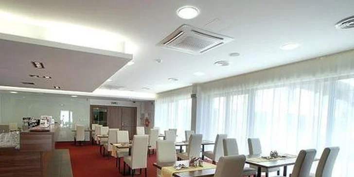 Kuřecí a vepřové maso na grilu v Restauraci Landek