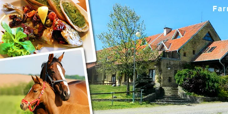Odpočinková dovolená na Farmě v Olšanech