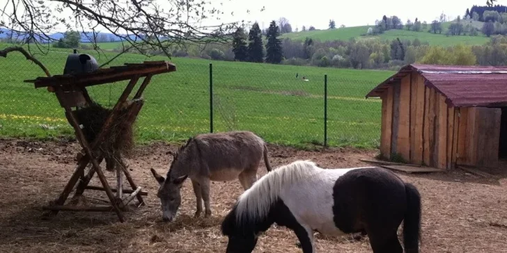 Zimní dovolená pro dva v Černé v Pošumaví