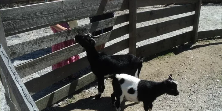 Zimní dovolená pro dva v Černé v Pošumaví
