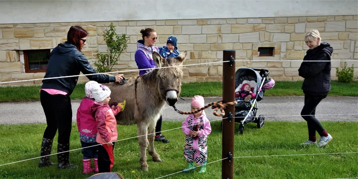 Děti do 30 kg se na oslících mohou povozit. 