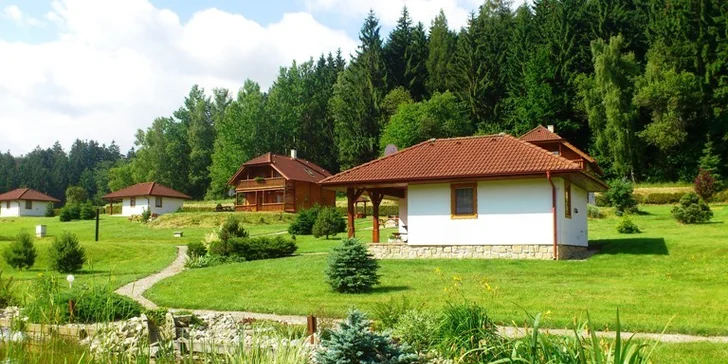 4 nebo 5 dní na chatě s polopenzí, bazénem, masáží a jízdou na koni pro 4-8 osob