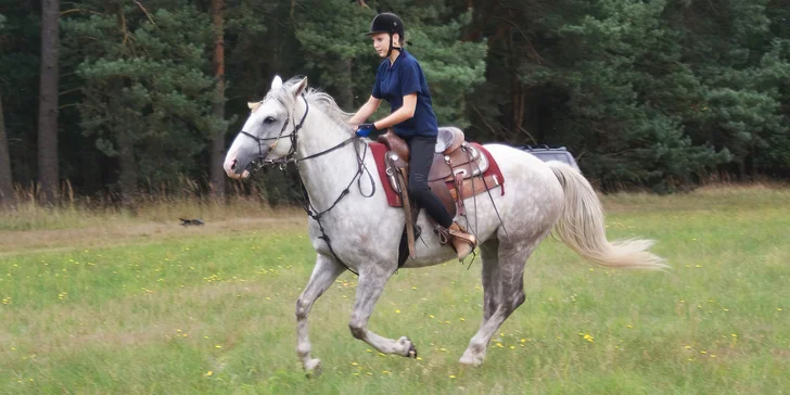 Vyjížďku přizpůsobí na míru vašim jezdeckým schopnostem, a to i v případě, že jste začátečníci.