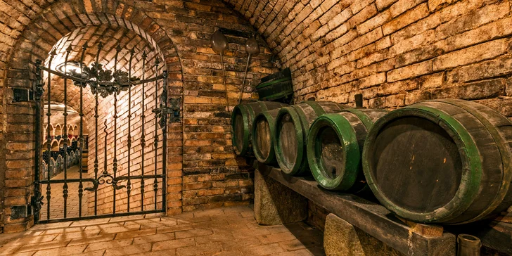 Pod hotelom sú rozsiahle pivnice, kam sa môžete počas pobytu pozrieť.