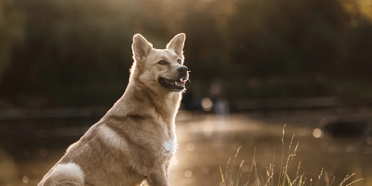 Vybrané fotografie si pak stáhnete v plné velikosti.