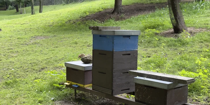 U úlů si se včelařem popovídáte ještě o dalších věcech, co vás na včelách zajímají. 