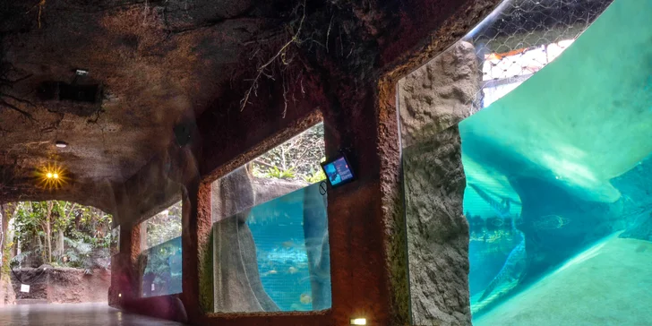 Po návštěvě zoo se přesunete do centra města. 
