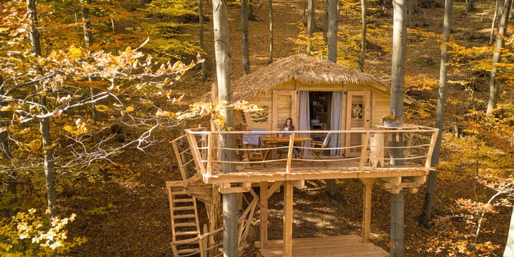 Domček Happy Tree House Betliar sa nachádza hlboko v krásnom listnatom lese neďaleko svetoznámeho kaštieľa Betliar.
