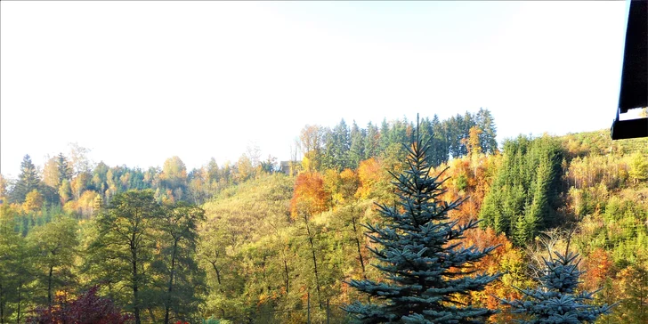 Zaparkujete přímo před srubem, kola nebo v zimě lyže, uschováte v zamykatelné kůlně.