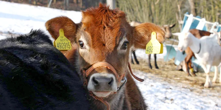 Na co se můžete těšit?