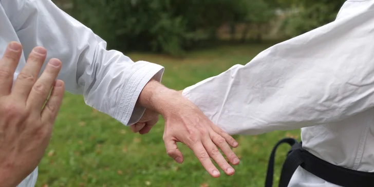 V Habu Dojo vás čakajú dynamické tréningy plné pohybu, techniky a sebaobrany, ktoré vás naučia nielen bojovať, ale aj lepšie ovládať svoje telo a myseľ.