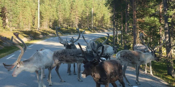Zavítáte dokonce i do Země obrů, Národního parku Jotunheimen.