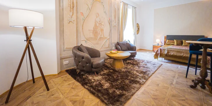 Opera Apartments ponúkajú dotyk dávnych čias minulých v komfortných a oku lahodiacich priestoroch.