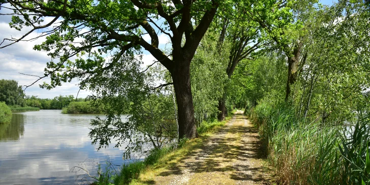Alebo si so sebou vezmite bicykle a spoznávajte južné Čechy z cyklotrás.