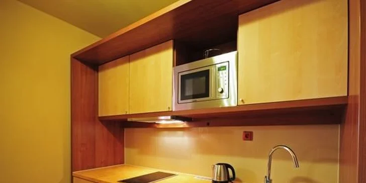 1pokojový apartmán
