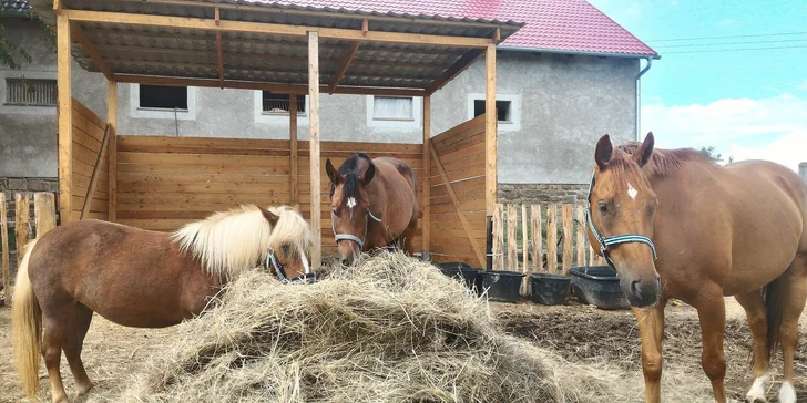 Součástí hotelového resortu je totiž farma s drobnými domácími zvířaty a koňmi, takže ani vaše ratolesti se určitě nudit nebudou.