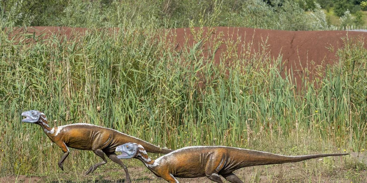 Dinosaurů, plazů a obojživelníků je tu téměř 200, poznáte přibližně 70 druhů. 