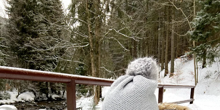 Dolní Morava: Trasa je vhodná i pro psí parťáky!