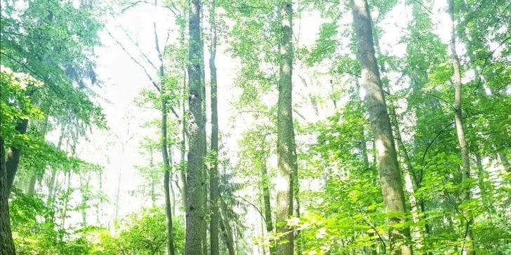 V okolí je spousta zajímavých výletních cílů jako např. hrad Okoř, Panenský Týnec, Kozí hřbety, Karlštejn, Křivoklát nebo lom Amerika. 