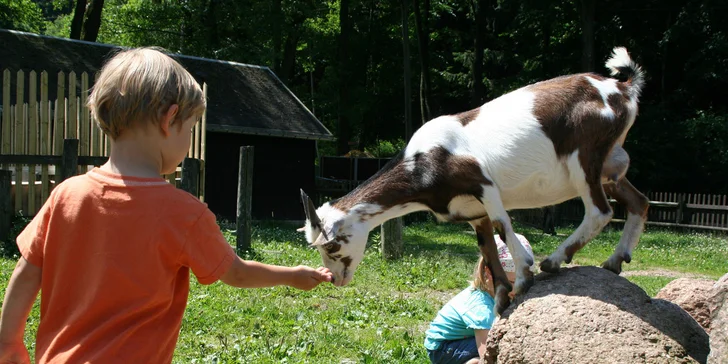 Geising Wild Park