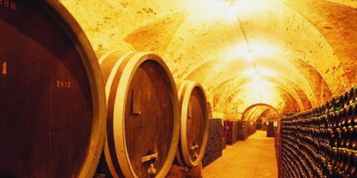 2850 Kč za třídenní pobyt v Althanském paláci PRO DVA ve Znojmě s vinařskou tématikou. Luxusní ubytování, konzumace archivních vín a bohaté menu se slevou 50 %.