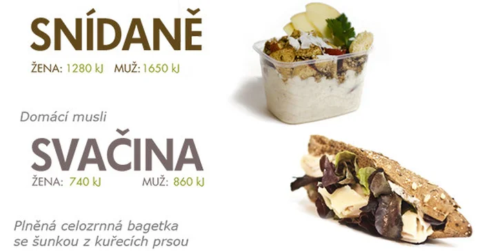 Zdravá strava Fitness Food Menu s dopravou zdarma