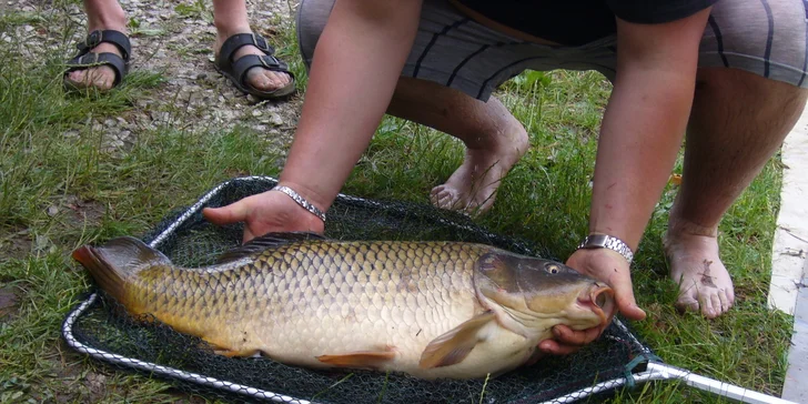 7 dní v chatě v jižních Čechách u rybníka pro 2 osoby