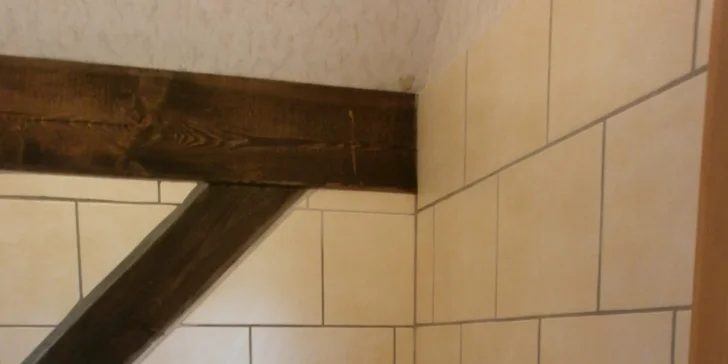 Pobyt s koňmi v Českém ráji pro dva nebo čtyři