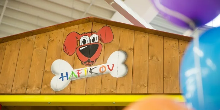 Celodenní vstup do dětského centra Hafíkov