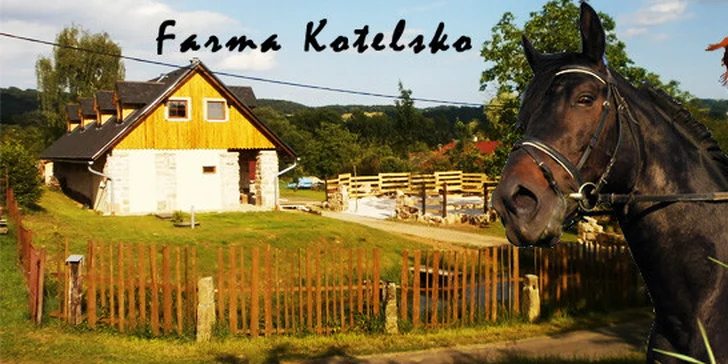 Pobyt s koňmi v Českém ráji pro dva nebo čtyři