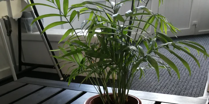 Připravují tu kávu, horké nápoje i nejrůznější limonády. Na zub si můžete dát třeba dortík, koláč, ale najdou se tu i slané dobroty jako třeba zapečené tousty. 