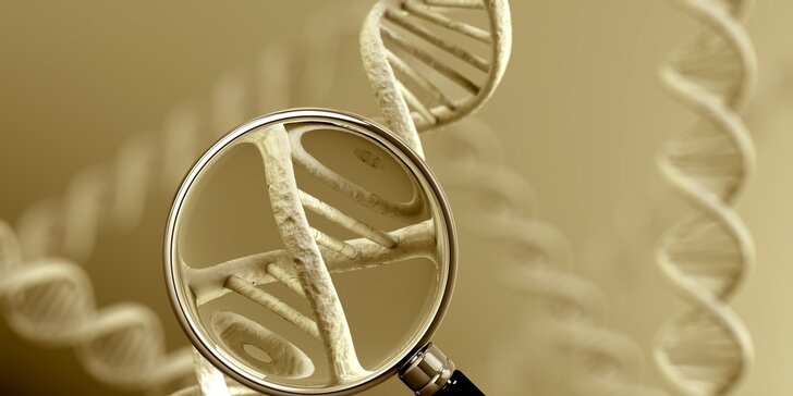 Poznejte své předky: genetická genealogie, DNA test mateřské či otcovské linie