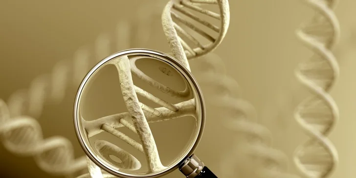 Genealogický test DNA mateřské či otcovské linie