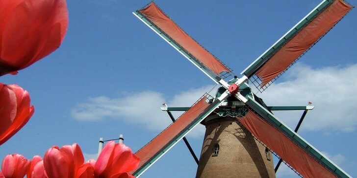 Víkend v Amsterdamu včetně návštěvy sýrárny a větrných mlýnů