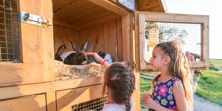 Na lúkach oproti Penziónu sa nachádza moderný salaš a minizoos množstvom tradičných zvierat, ktoré boli kedysi súčasťou salašou.