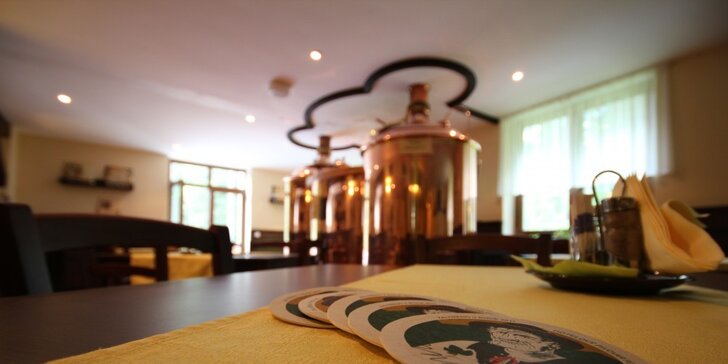 Výběr z pivních zážitků v pivovaru Lomňan