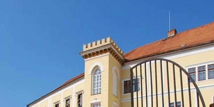 3 piva, oběd a prohlídka zámku Letovice i se sklepením